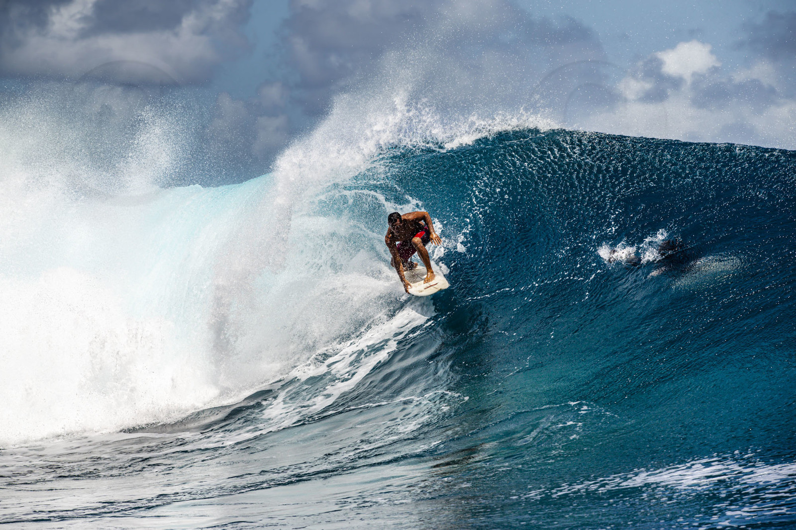 © Guillaume Ruoppolo (4 sur 5).jpg